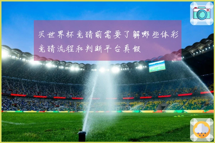 买世界杯竞猜前需要了解哪些体彩竞猜流程和判断平台真假